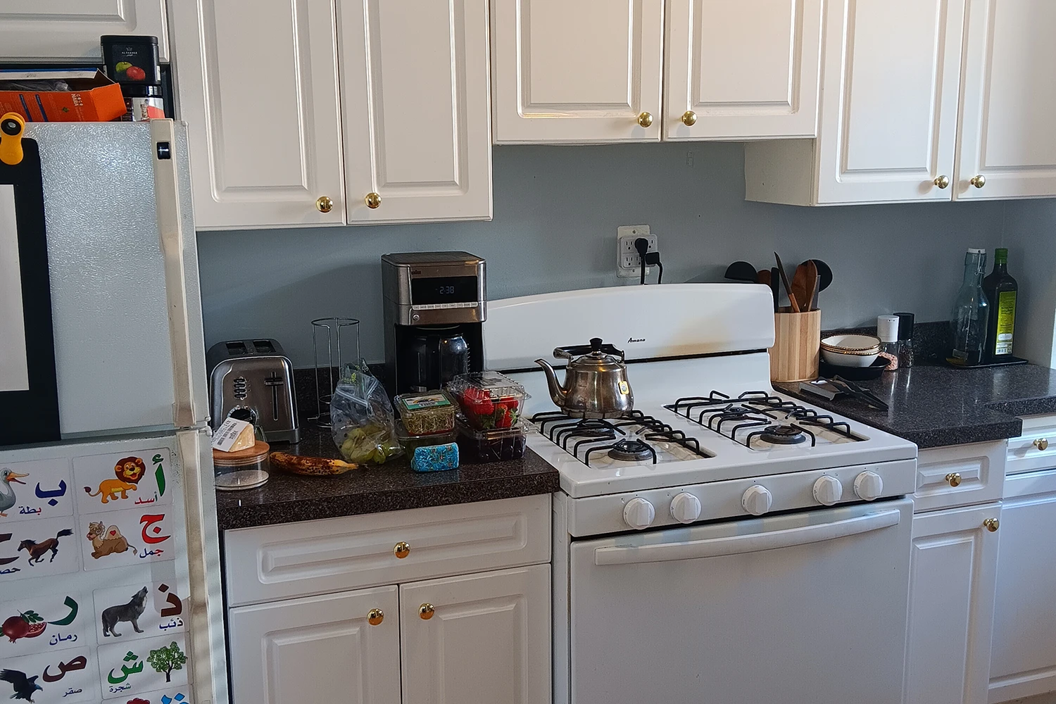 805 Judson St Apt 3, Evanston IL properties 325-31-kedzie-st-evanston-il-60202 805-3   