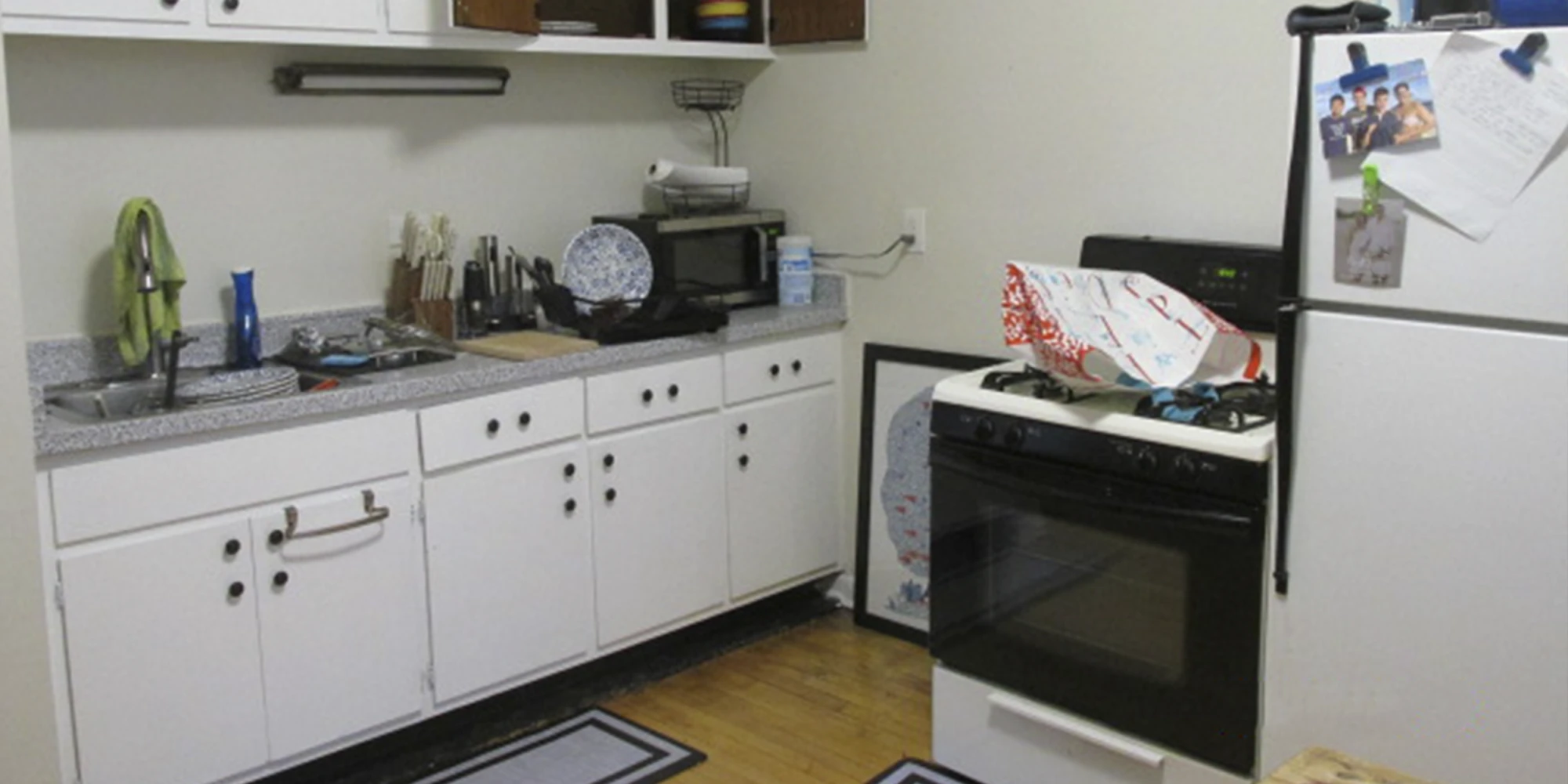 923 W Waveland Ave Apt 3D, Chicago IL properties 915-23-w-waveland-chicago-il-60613-lake-view 923-3d