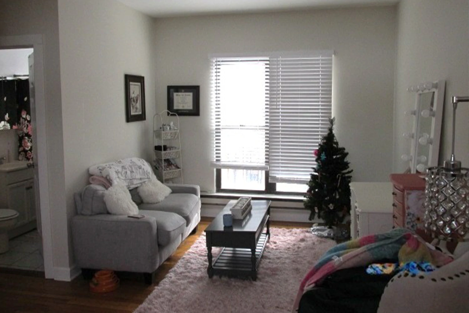 728 W Roscoe St Apt 2E, Chicago IL properties 724-32-w-roscoe-st-chicago-il-60657-lake-view 728-2e