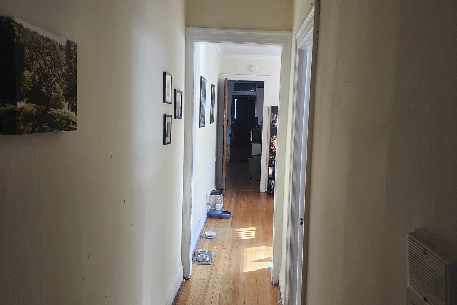 943 Judson Ave St Apt 2, Evanston IL properties 312-320-lee-st-evanston-il-60202 943-2   