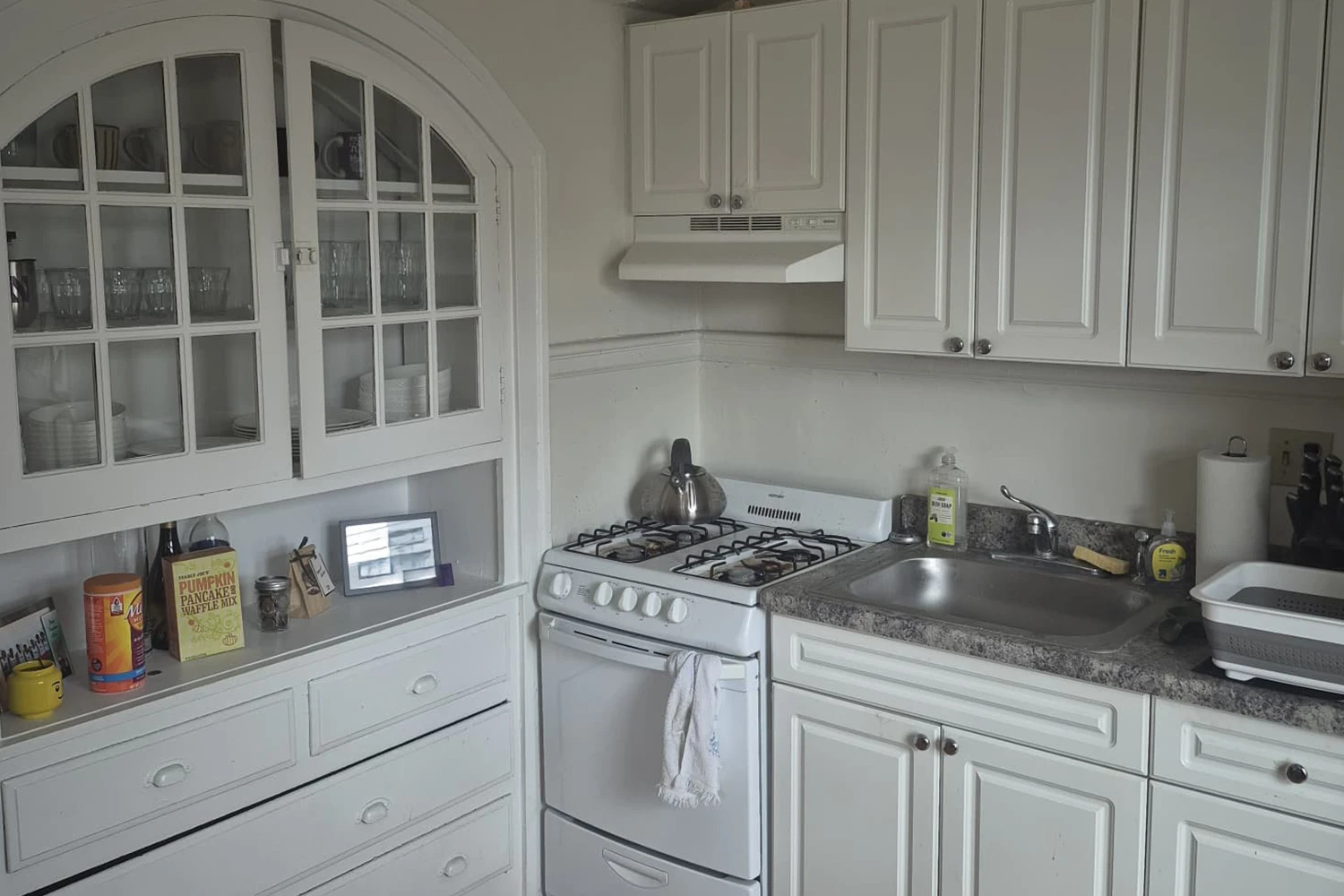 2147 N Fremont St Apt 2N, Chicago IL properties 2147-51-n-fremont-chicago-il-60614-lincoln-park 2147-2n