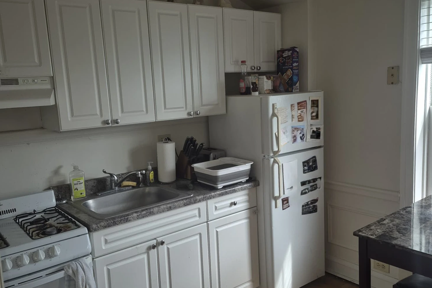 2147 N Fremont St Apt 2N, Chicago IL properties 2147-51-n-fremont-chicago-il-60614-lincoln-park 2147-2n