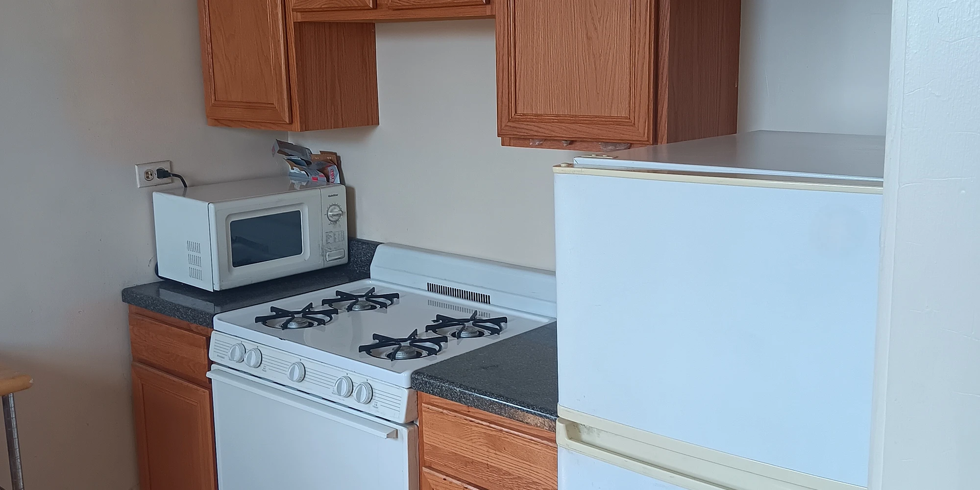 918 Green Bay Rd Apt 3E, Winnetka IL properties 916-20-green-bay-rd-winnetka-il-60093 918-3e   